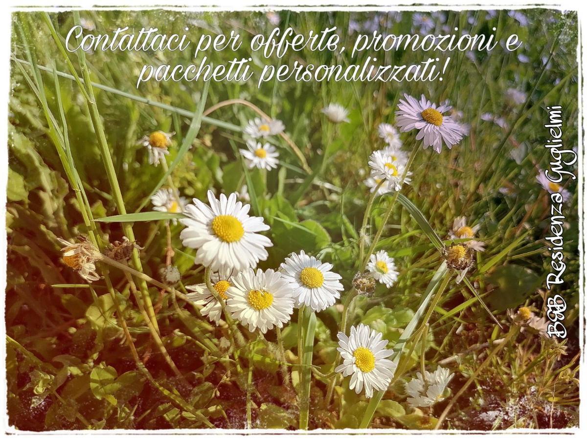 Residenza Guglielmi Bed and Breakfast Campobasso Buitenkant foto